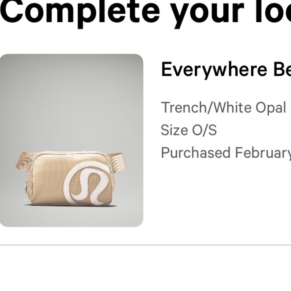 Everywhere belt bag